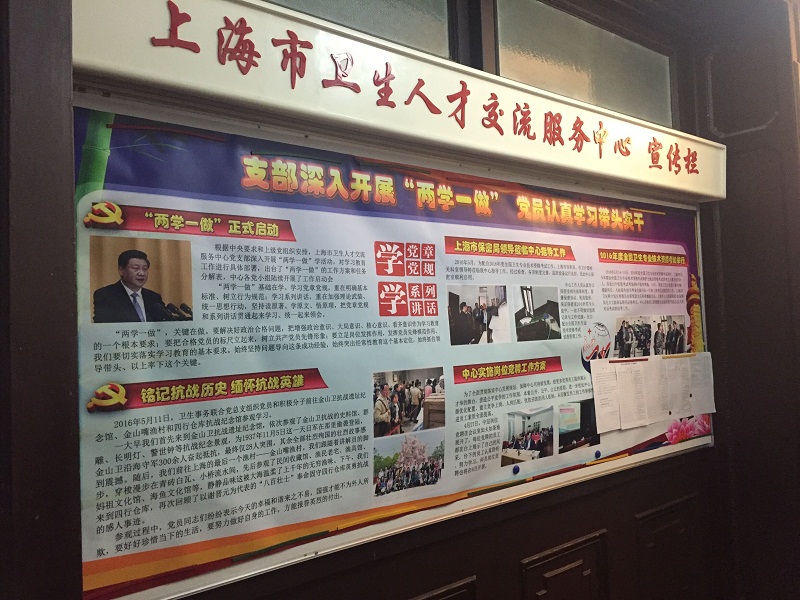 市卫生人才交流服务中心党支部开展“两学一做”学习教育工作